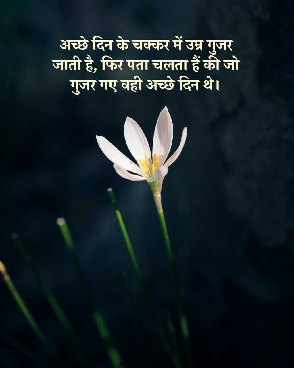 Good Morning